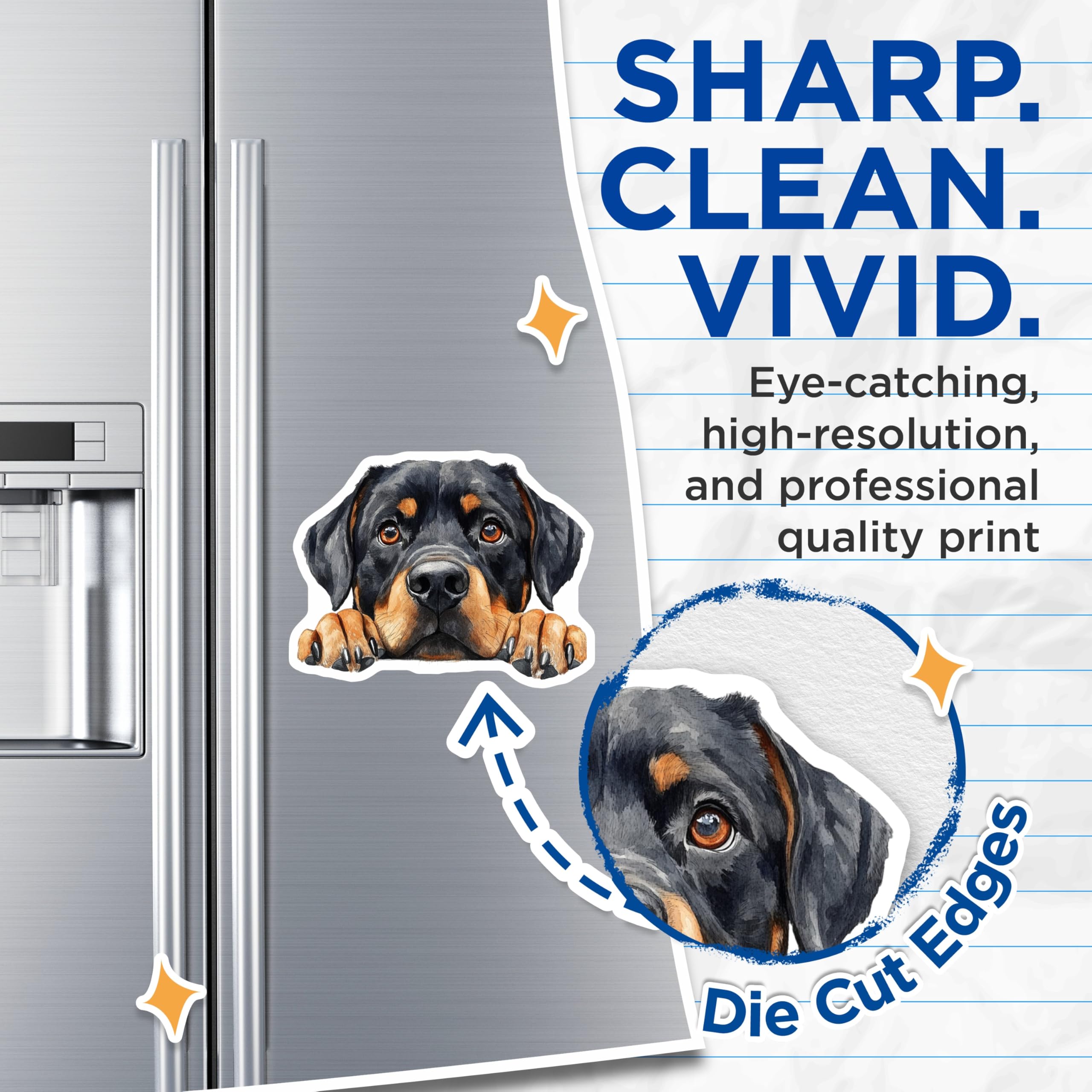 (2 Pack) Rottweiler Magnets - Dog Breed Art - Cute Pet Lover Decor - 5" On Longest Side - Premium Magnet - for Cars, Refrigerators, Toolboxes, Lockers - Made in USA - MAG14425