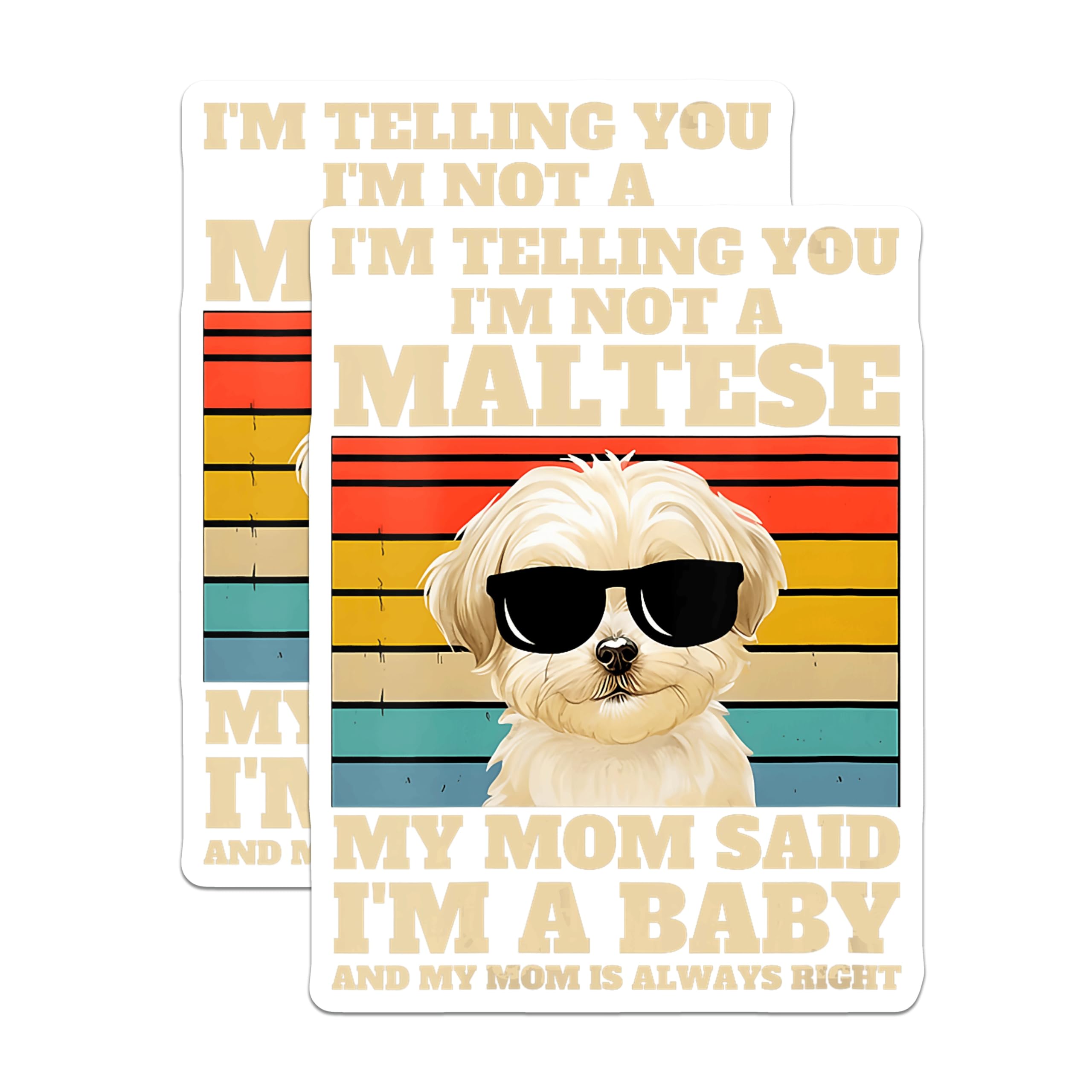 (2 Pack) Maltese Dog Magnets - Funny Dog Mom Quote - Retro Pet Owner Present - 5 Inches On Longest Side - Thick Durable Magnet - Made in USA - MAG30304