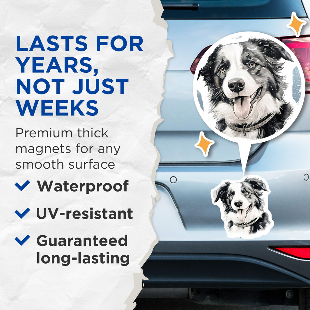 (2 Pack) Border Collie Dog Magnets - Happy Pet Portrait Artwork - Dog Mom Dad Fridge Locker Decor - 5 Inches On Longest Side - Thick Durable Magnet - Made in USA - MAG30218
