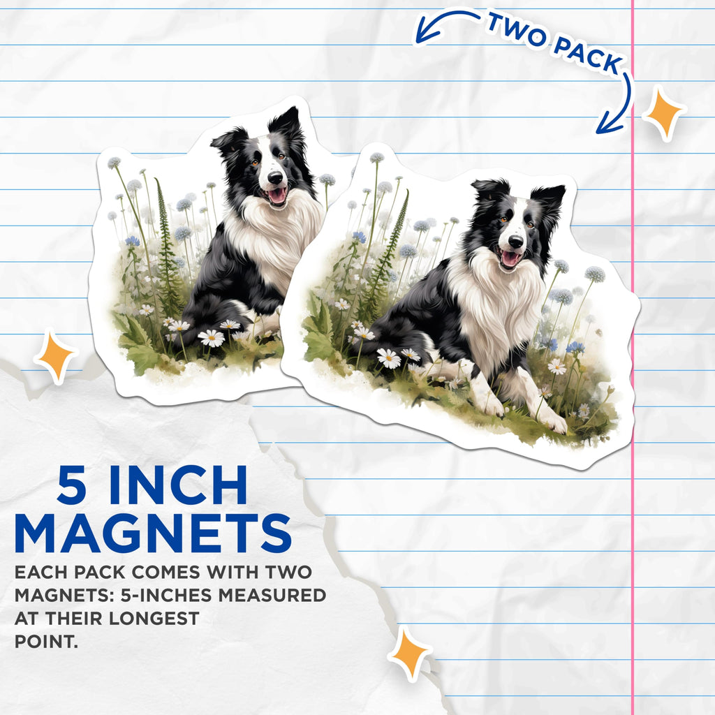 (2 Pack) Border Collie Dog Magnets - Happy Dog Breed Artwork - Pet Lover Fridge Decor - 5 Inches On Longest Side - Thick Durable Magnet - Made in USA - MAG28975