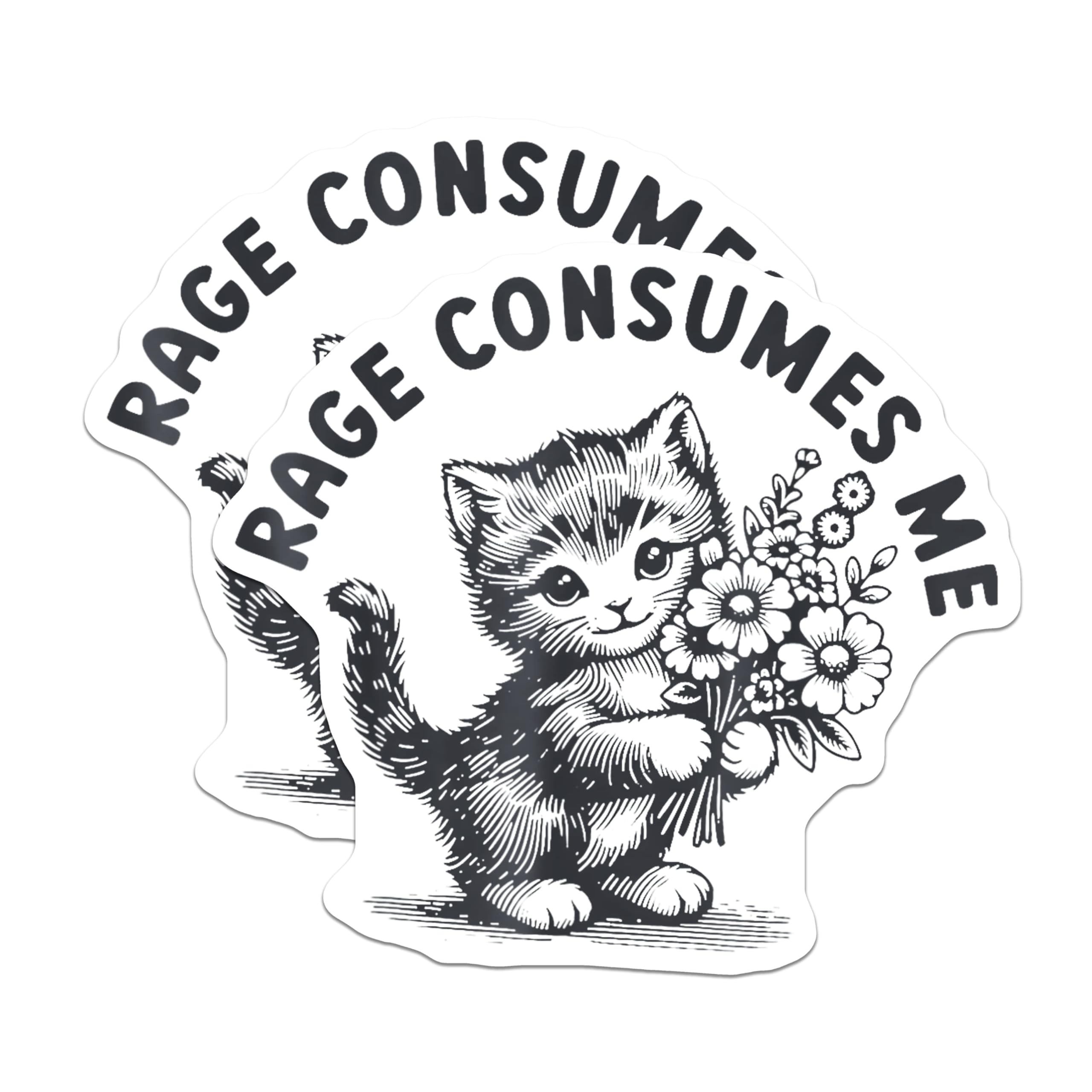 (2 Pack) Rage Consumes Me Stickers - Cute Cat Stickers - Funny Animal Stickers - 5" On Longest Side - Sticks to Any Smooth Flat Surface - Made in USA - BMCS3550