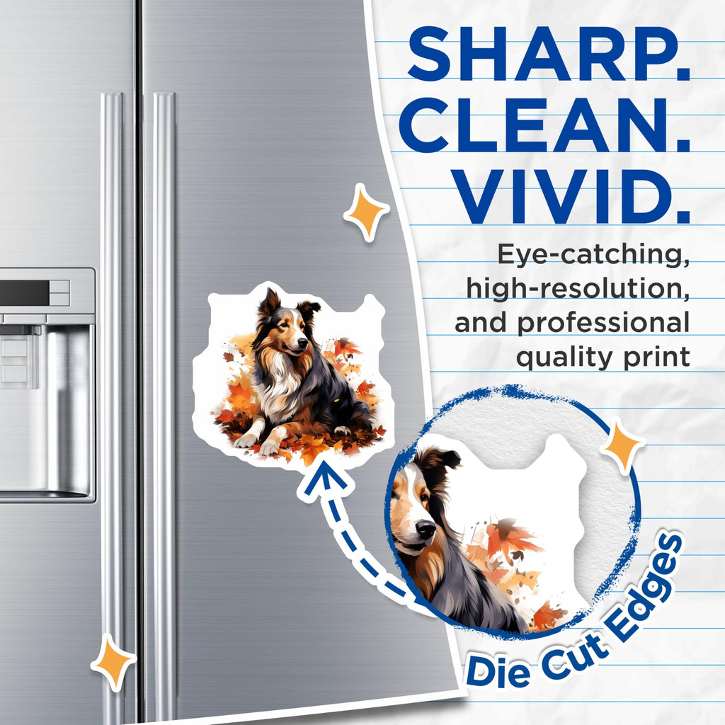 (2 Pack) Shetland Sheepdog Magnets - Autumn Fall Leaves Decor - Dog Lover Car Refrigerator Magnet - 5 Inches On Longest Side - Thick Durable Magnet - Made in USA - MAG28772