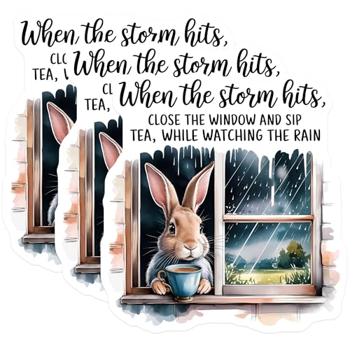 (3 Pack) Storm Watching Decals - Bunny Tea Party - Rainy Day Decals - 3 Inches On Longest Side - Easy Peel & Apply - Made in USA - 3MCS7516