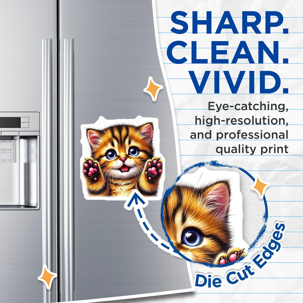 (2 Pack) Cute Kitten Magnets - Fridge Decor - Tabby Cat Refrigerator Magnets - 5" On Longest Side - Premium Magnet - for Cars, Refrigerators, Toolboxes, Lockers - Made in USA - MAG15793