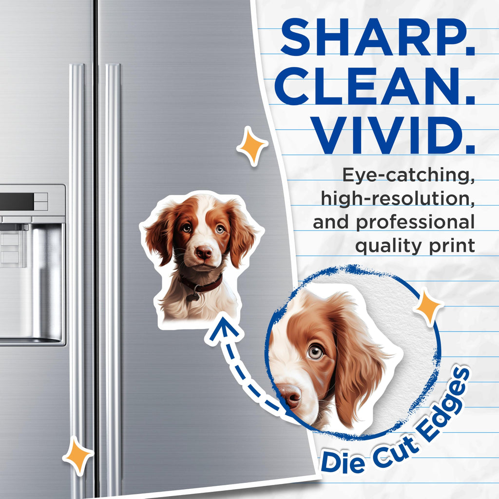 (2 Pack) Brittany Spaniel Magnets - Cute Puppy Fridge Decor - Dog Mom Animal Lover Item - 5 Inches On Longest Side - Thick Durable Magnet - Made in USA - MAG29209