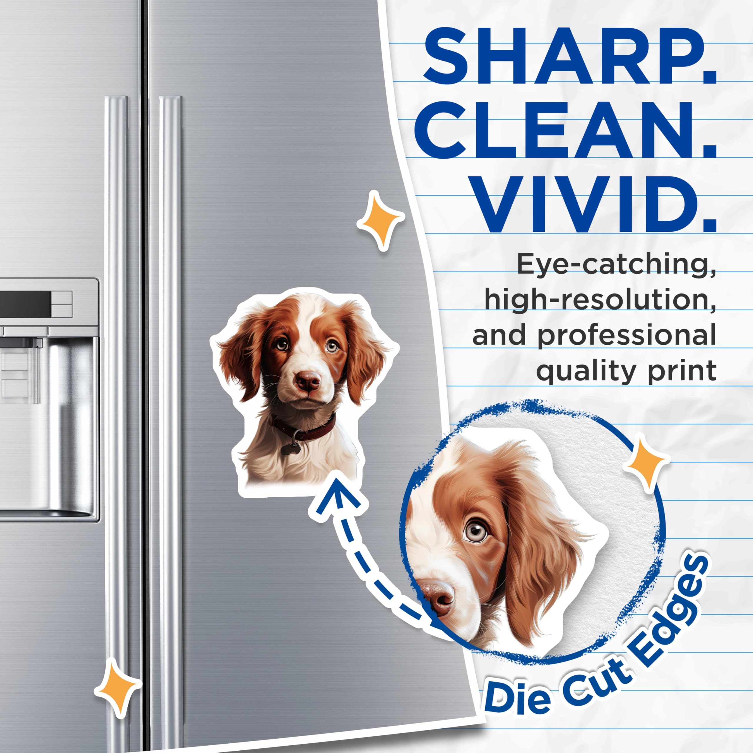 (2 Pack) Brittany Spaniel Magnets - Cute Puppy Fridge Decor - Dog Mom Animal Lover Item - 5 Inches On Longest Side - Thick Durable Magnet - Made in USA - MAG29209