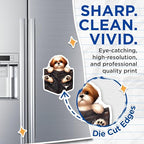 (2 Pack) Adorable Puppy in Pocket Magnets - Cute Dog - Animal Lover Kitchen - Fridge Magnet - 5" On Longest Side - for Cars, Fridges, Toolboxes - Made in USA - MAG4401