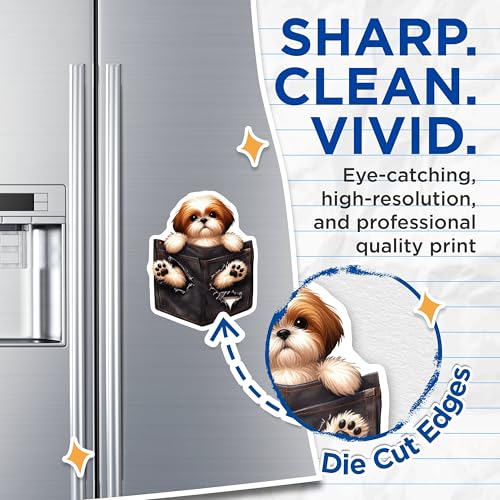 (2 Pack) Adorable Puppy in Pocket Magnets - Cute Dog - Animal Lover Kitchen - Fridge Magnet - 5" On Longest Side - for Cars, Fridges, Toolboxes - Made in USA - MAG4401