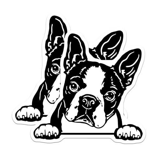 (2 Pack) Curious Dog Stickers - Animal Decal - Pet Lover Stickers - 5" On Longest Side - Sticks to Smooth Flat Surfaces - Made in USA - BMCS4039