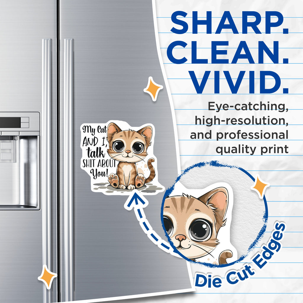 (2 Pack) Funny Sarcastic Cat Magnets - Pet Owner Humor - Refrigerator Locker Decor - 5 Inches On Longest Side - Thick Durable Magnet - Made in USA - MAG37144