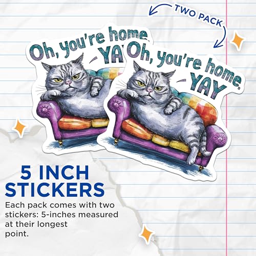 (2 Pack) Funny Cat Stickers - Home Decor - Couch Art - 5" On Longest Side - Sticks to Smooth Flat Surfaces - Made in USA - BMCS8561
