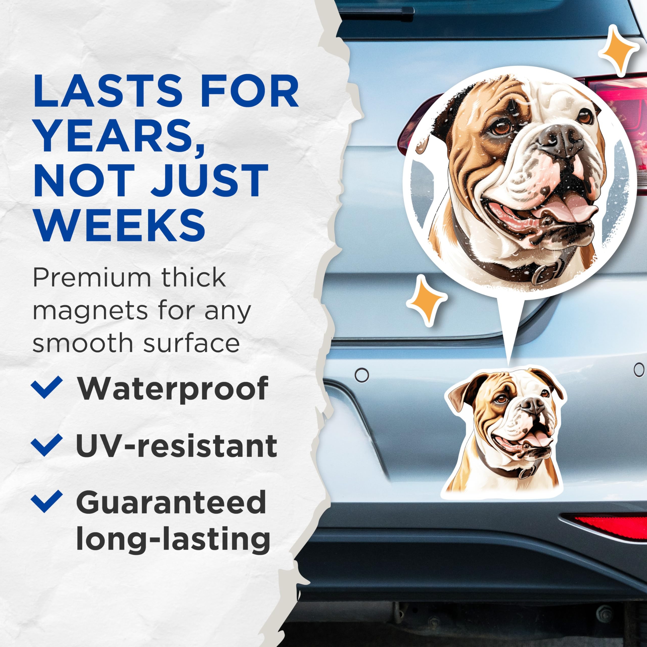 (2 Pack) American Bulldog Magnets - Dog Lover Decor - Pet Parent Refrigerator Accessories - Breed Enthusiast Items - 5 Inches On Longest Side - Thick Durable Magnet - Made in USA - MAG30454