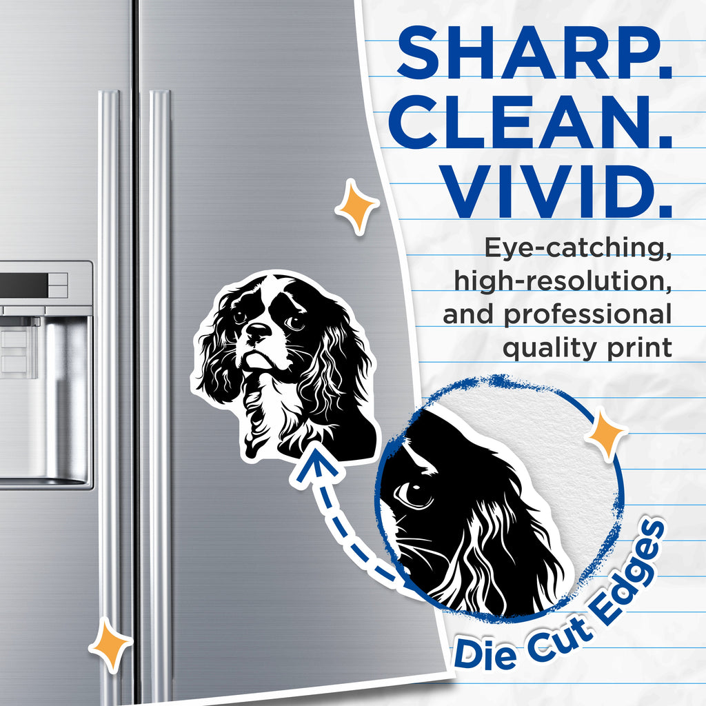(2 Pack) Cavalier King Charles Magnets - Dog Breed Pet Owner Display - Refrigerator Locker Decor - 5 Inches On Longest Side - Thick Durable Magnet - Made in USA - MAG36687
