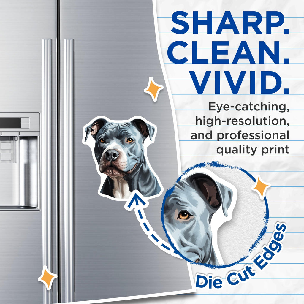 (2 Pack) Blue Nose Pitbull Magnets - Dog Lover Kitchen Decor - Pet Parent Refrigerator Art - 5 Inches On Longest Side - Thick Durable Magnet - Made in USA - MAG26496