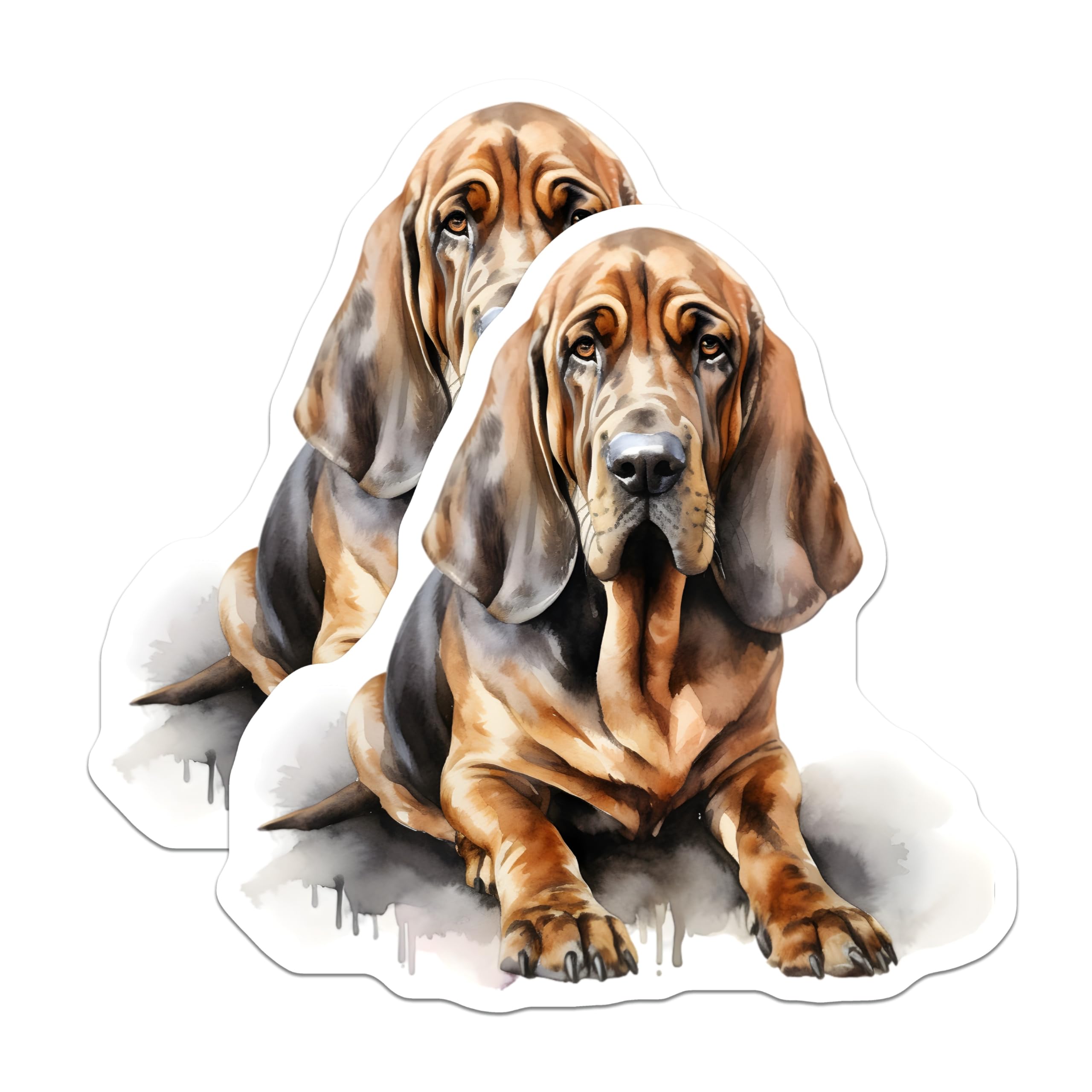 (2 Pack) Bloodhound Dog Magnets - Watercolor Pet Lover - Hound Dog Art Fridge Decor - 5 Inches On Longest Side - Thick Durable Magnet - Made in USA - MAG25697