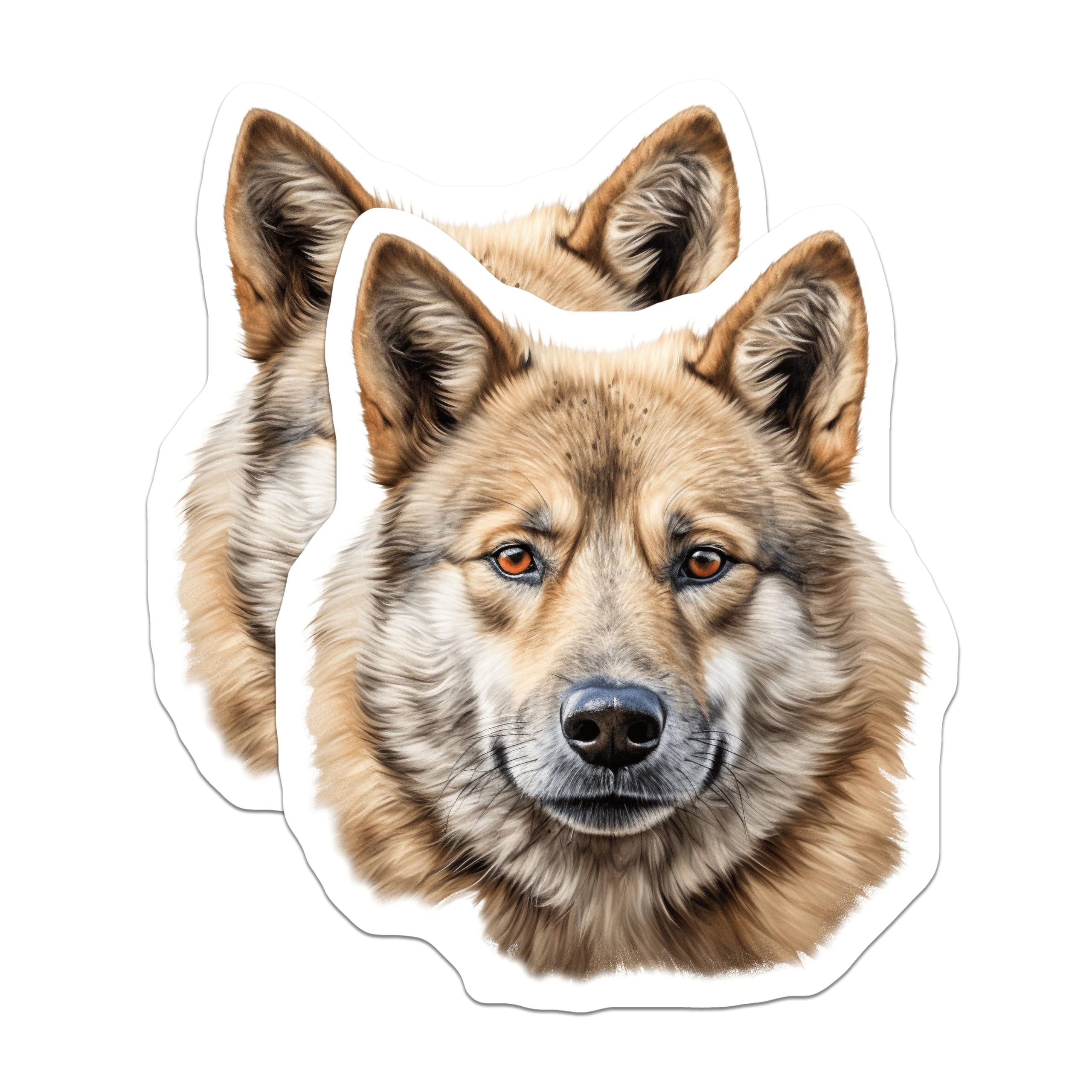 (2 Pack) Timber Wolf Magnets - Realistic Canine Art - Majestic Wild Dog Portrait - Animal Lover Fridge Decor - 5 Inches On Longest Side - Thick Durable Magnet - Made in USA - MAG23985