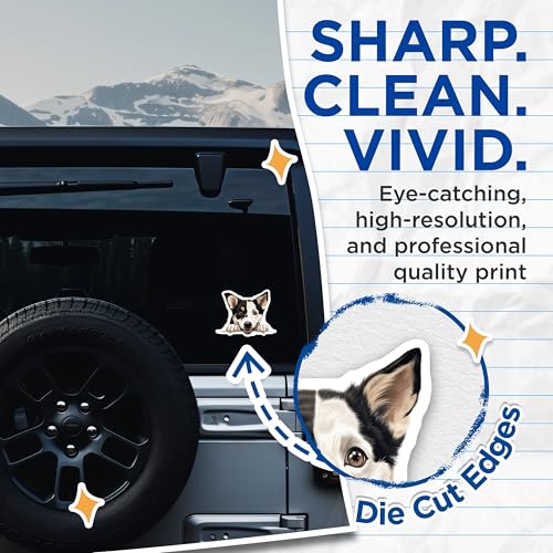 (2 Pack) Cute Dog Stickers - Adorable Pet Decals - Animal Lover Sticker Pack - 5" On Longest Side - Sticks to Smooth Flat Surfaces - Made in USA - BMCS9897