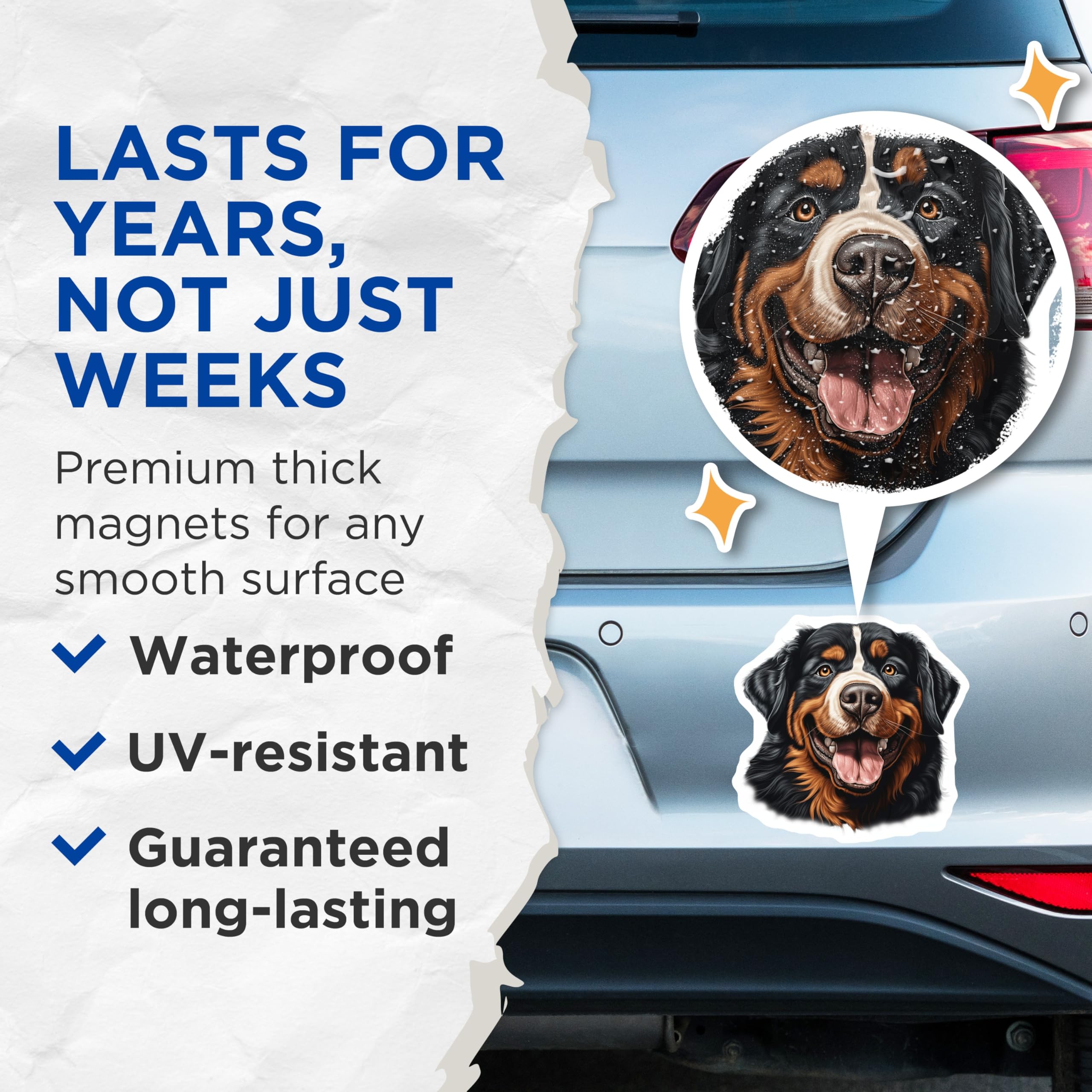(2 Pack) Bernese Mountain Dog Magnets - Happy Berner Portrait Art - Dog Owner Kitchen Decor - 5 Inches On Longest Side - Thick Durable Magnet - Made in USA - MAG27231