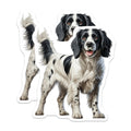 (2 Pack) Springer Spaniel Magnets - Black White Dog Art - Canine Enthusiast Decor - Animal Fridge Display - 5 Inches On Longest Side - Thick Durable Magnet - Made in USA - MAG23455