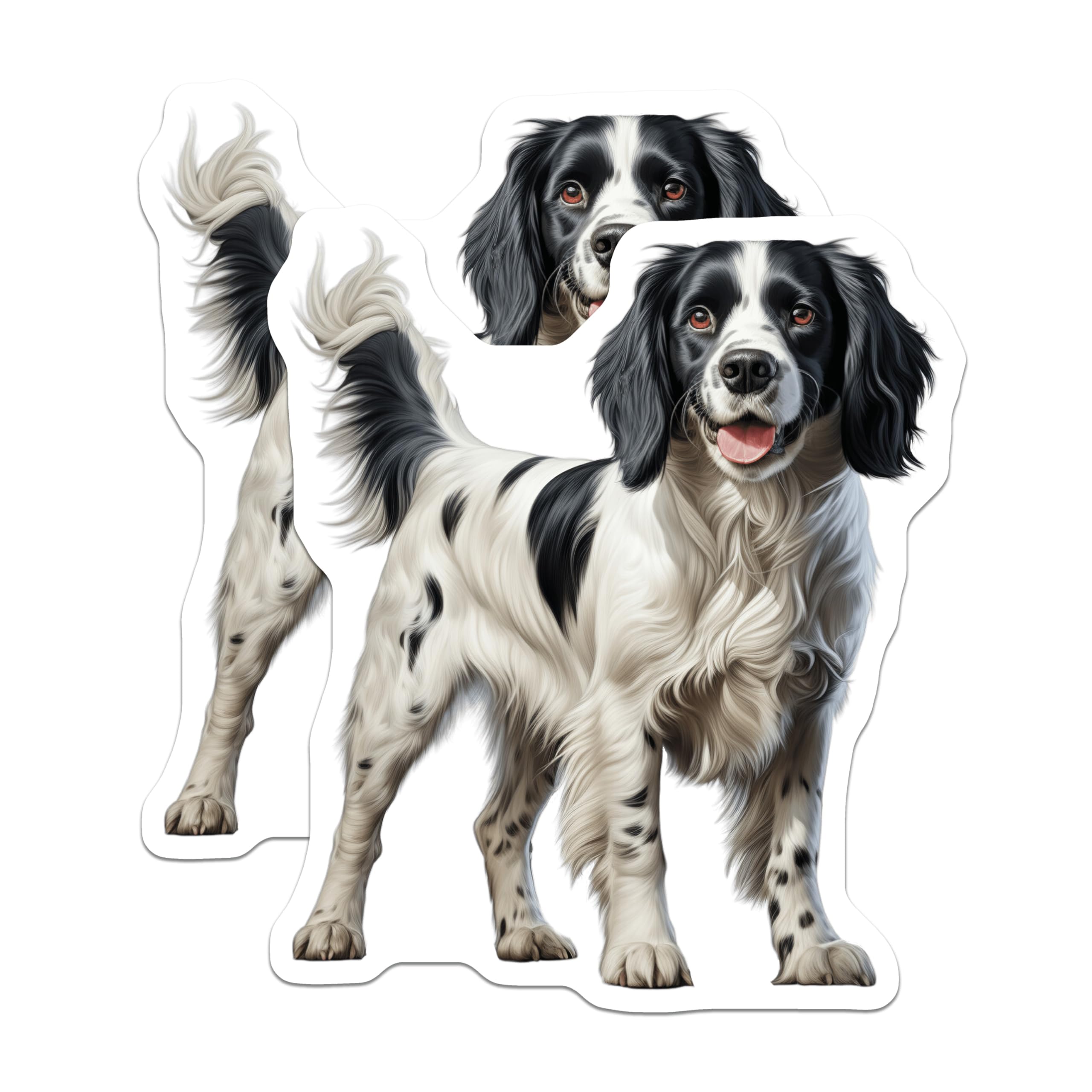 (2 Pack) Springer Spaniel Magnets - Black White Dog Art - Canine Enthusiast Decor - Animal Fridge Display - 5 Inches On Longest Side - Thick Durable Magnet - Made in USA - MAG23455