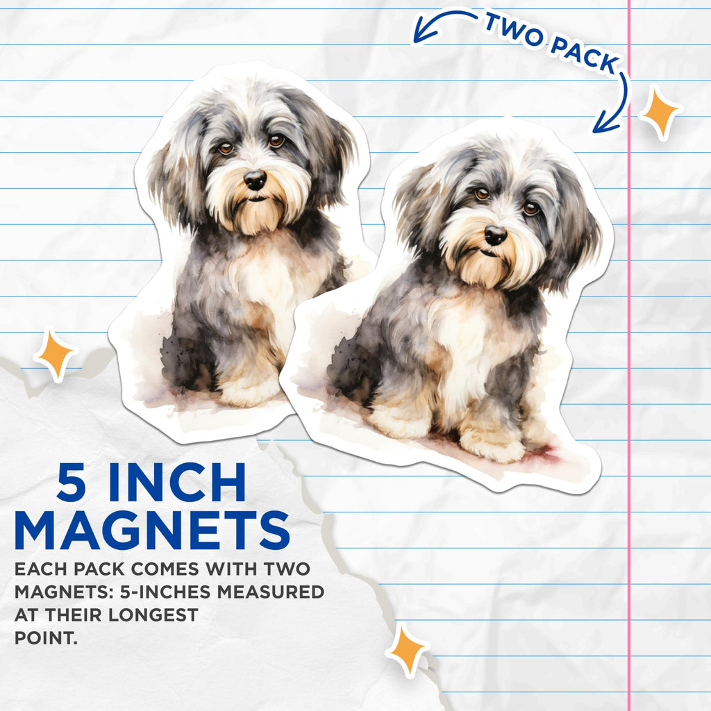 (2 Pack) Watercolor Havanese Dog Magnets - Fluffy Puppy Pet Lover - Cute Animal Art Decor - 5 Inches On Longest Side - Thick Durable Magnet - Made in USA - MAG25759