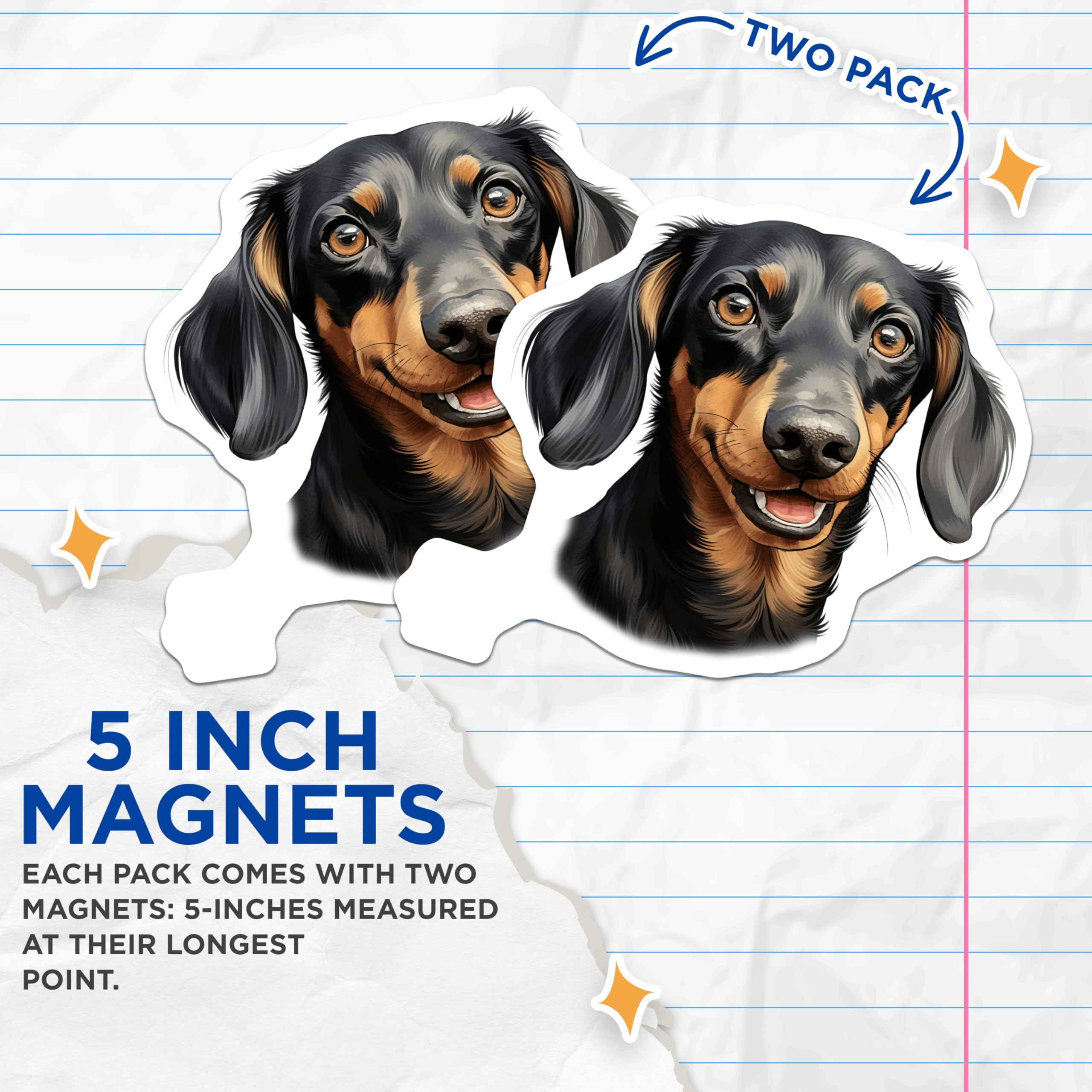 (2 Pack) Dachshund Magnets - Cute Dog Decor - Weiner Dog Refrigerator Accessory - Animal Lover Item - 5 Inches On Longest Side - Thick Durable Magnet - Made in USA - MAG25285