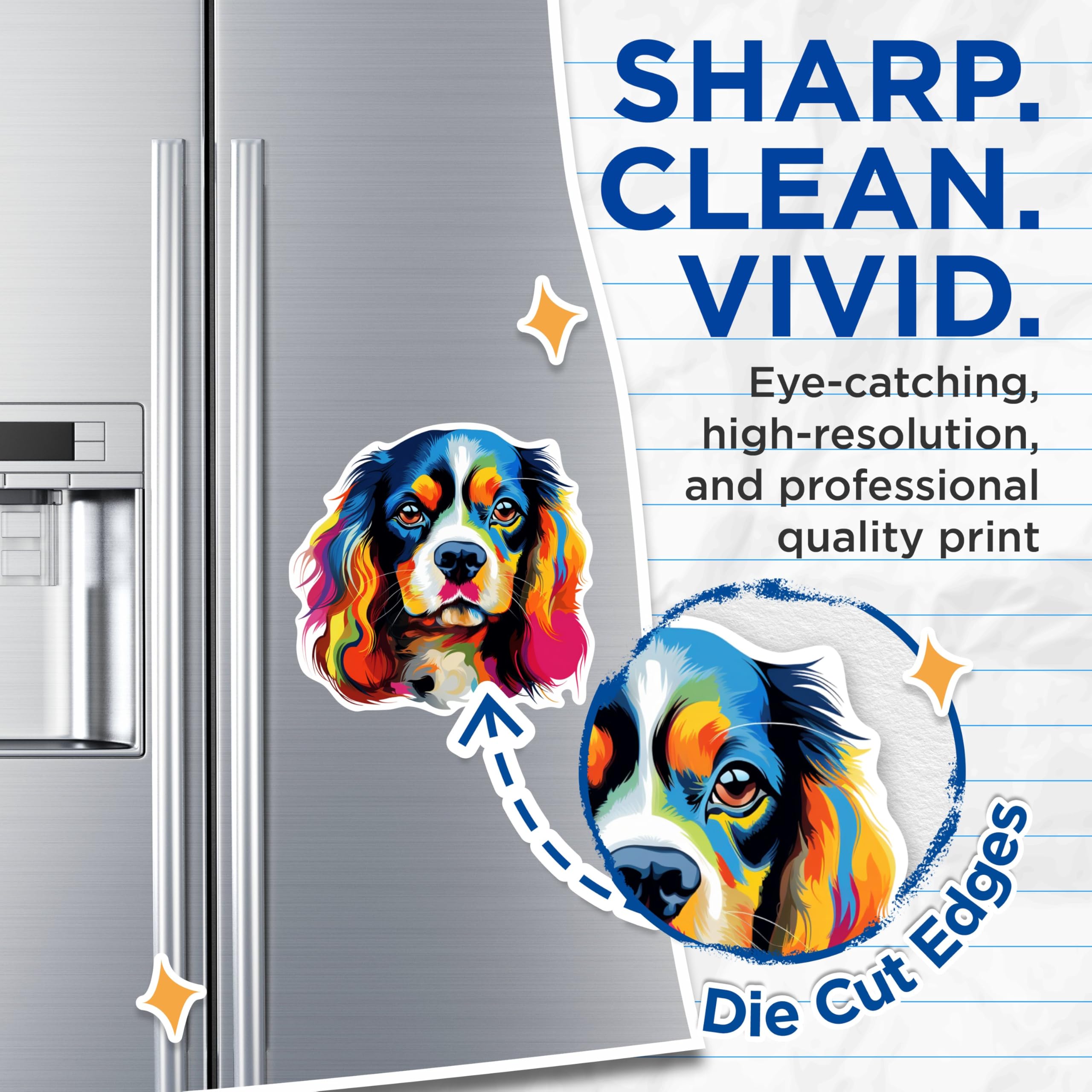 (2 Pack) Cavalier King Charles Spaniel Dog Breed Magnets - 5 Inches On Longest Side - Choose from Over 100 Dog Breeds - for Cars, Refrigerators, Toolboxes - Made in USA - MAG1819