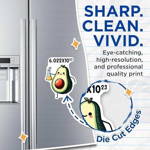 (2 Pack) Avogadro Number Magnets - Cute Avocado Science Fun - Educational Refrigerator - 5" On Longest Side - for Cars, Fridges, Toolboxes - Made in USA - MAG8015
