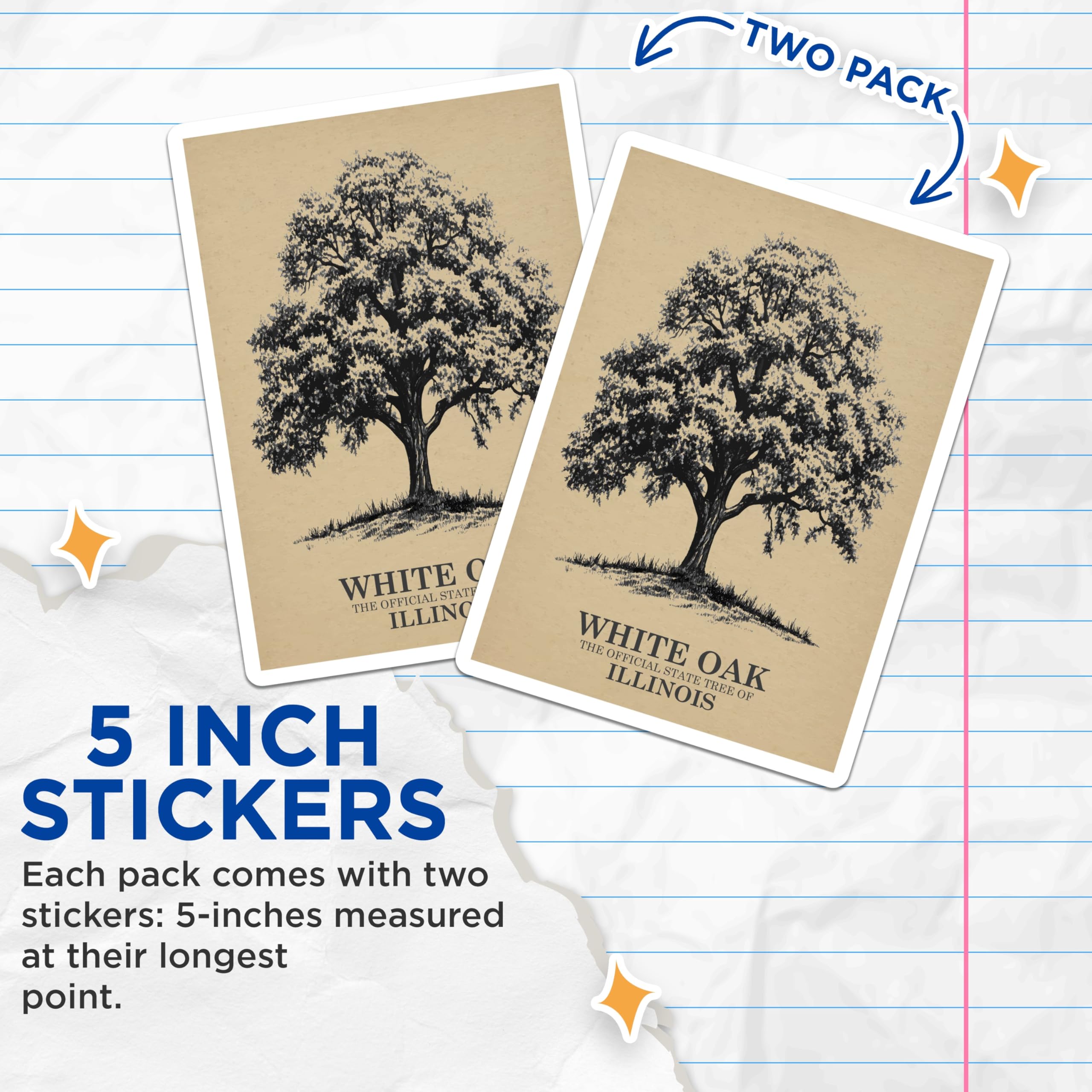 (2 Pack) White Oak Tree Stickers - Illinois State Tree Art - Nature Illustration Stickers - 5" On Longest Side - Sticks to Smooth Flat Surfaces - Made in USA - BMCS18181