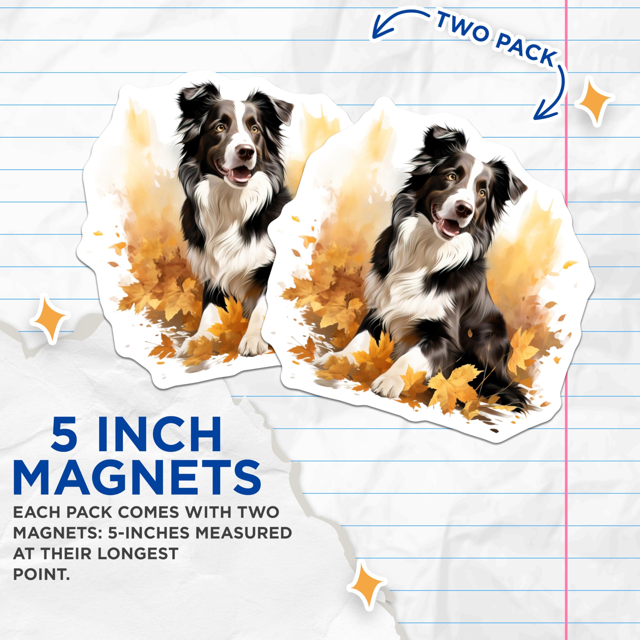 (2 Pack) Border Collie Dog Magnets - Autumn Leaves Decor - Pet Lover Refrigerator Art - 5 Inches On Longest Side - Thick Durable Magnet - Made in USA - MAG27613