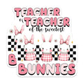 (2 Pack) Teacher Stickers - Sweet Bunny - Classroom Decor - Cute Animal - 5" On Longest Side - Sticks to Smooth Flat Surfaces - Made in USA - BMCS8138