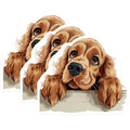 (3 Pack) Cocker Spaniel Decals - Dog Breed Art - Puppy Pet Stickers - 3 Inches On Longest Side - Easy Peel & Apply - Made in USA - 3MCS8738