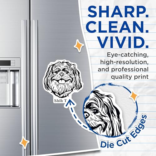 (2 Pack) Shih Tzu Dog Magnets - Cute Dog Magnets - Shih Tzu Art - Dog Lover Magnets - 5" On Longest Side - for Cars, Fridges, Toolboxes - Made in USA - MAG4029
