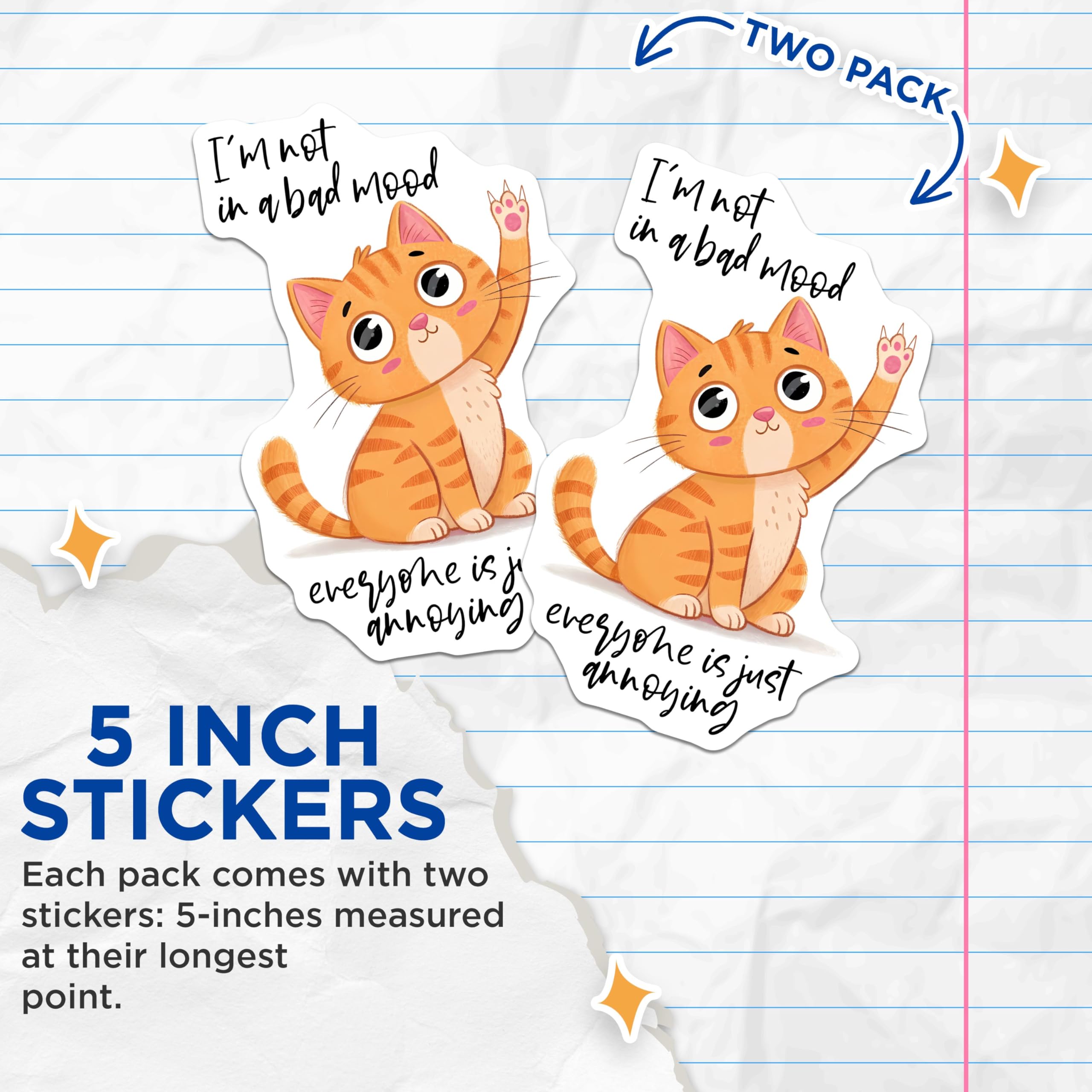 (2 Pack) Cat Humor Stickers - I'm Not in a Bad Mood Stickers - Funny Cat Quote Stickers - 5" On Longest Side - Sticks to Any Smooth Flat Surface - Made in USA - BMCS3321