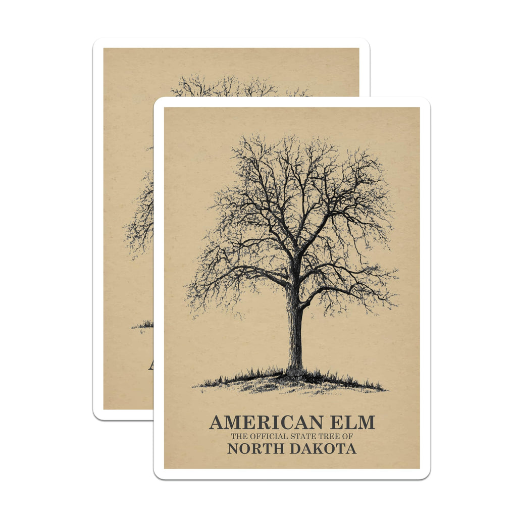 (2 Pack) American Elm Magnets - North Dakota State Tree - Nature Tree Magnets - 5" On Longest Side - Premium Magnet - for Cars, Refrigerators, Toolboxes, Lockers - Made in USA - MAG17356