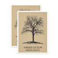 (2 Pack) American Elm Magnets - North Dakota State Tree - Nature Tree Magnets - 5" On Longest Side - Premium Magnet - for Cars, Refrigerators, Toolboxes, Lockers - Made in USA - MAG17356