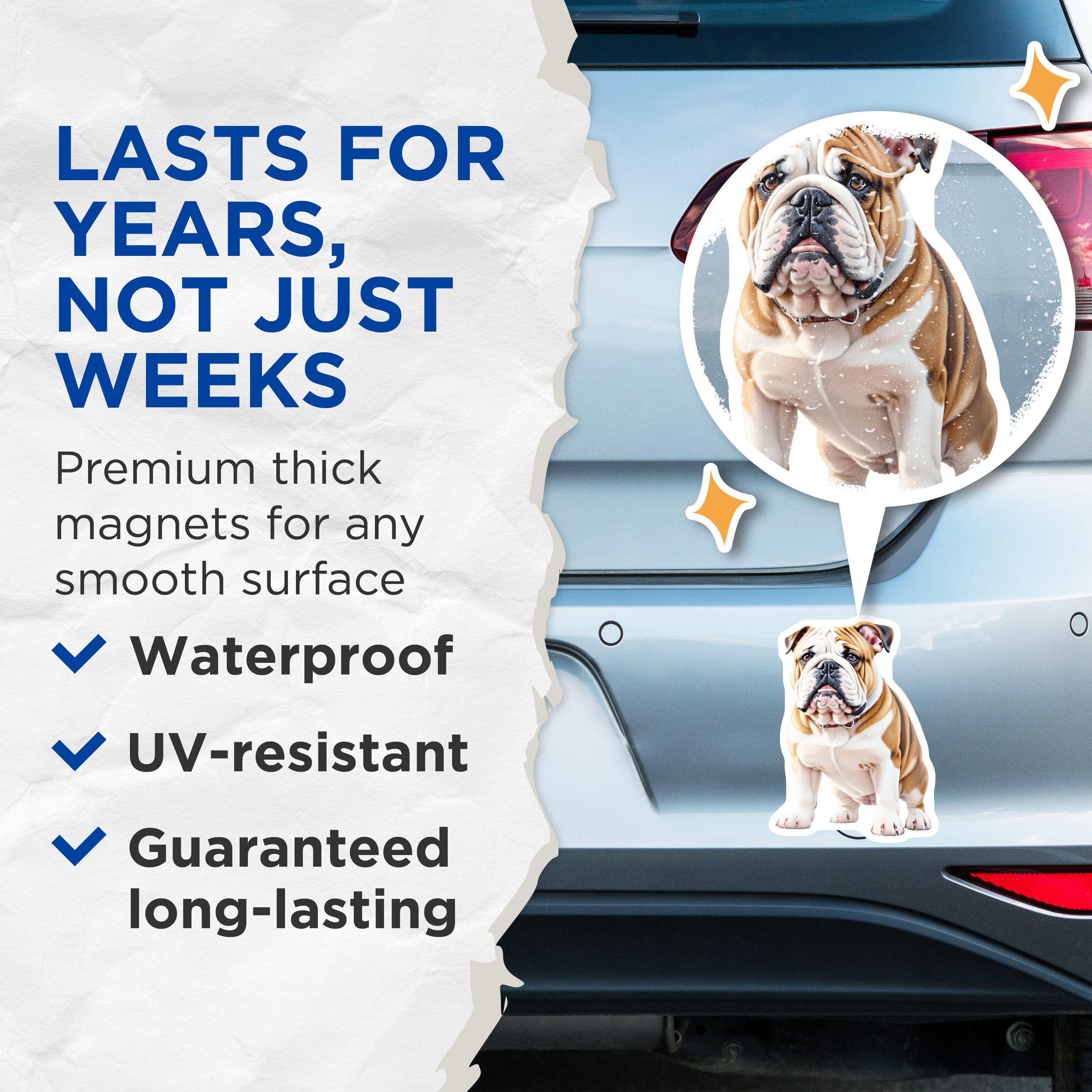 (2 Pack) English Bulldog Dog Magnets - Pet Animal Lover Accessory - Fridge Kitchen Decor - Breed Art for Dog Owners - 5 Inches On Longest Side - Thick Durable Magnet - Made in USA - MAG36370