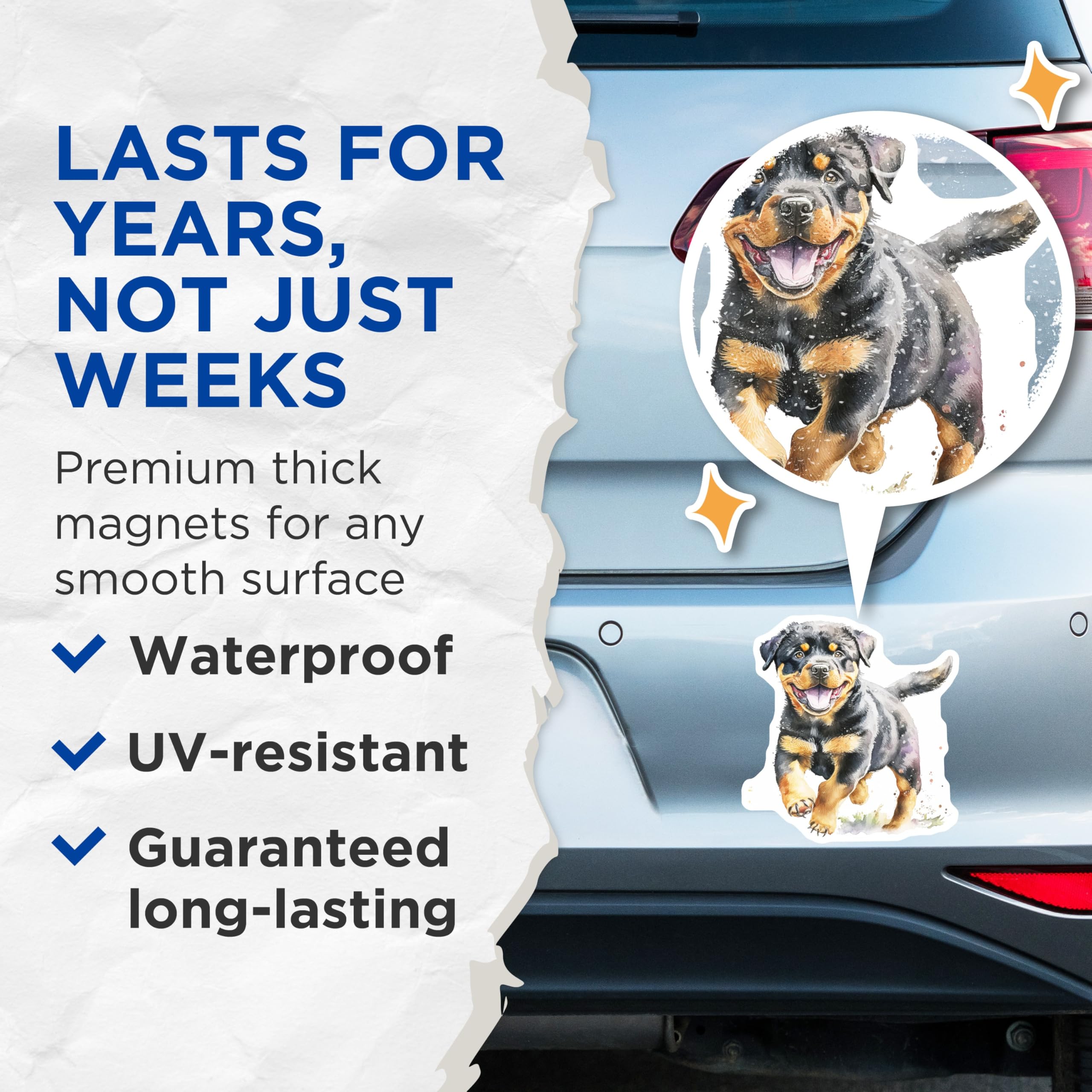 (2 Pack) Rottweiler Dog Magnets - Cute Puppy Art - Fridge Locker Decoration - 5" On Longest Side - Premium Magnet - for Cars, Refrigerators, Toolboxes, Lockers - Made in USA - MAG16060