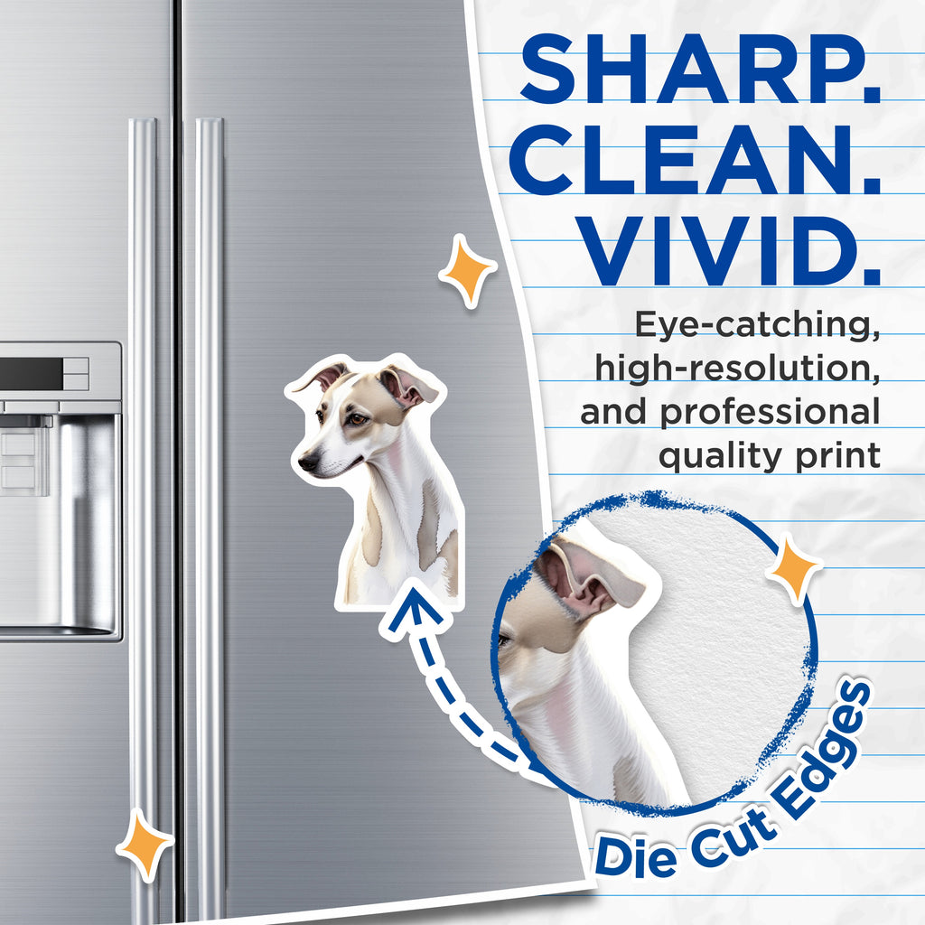 (2 Pack) Italian Greyhound Magnets - Sighthound Dog Art - Pet Lover Home Decor Magnets - 5 Inches On Longest Side - Thick Durable Magnet - Made in USA - MAG39871