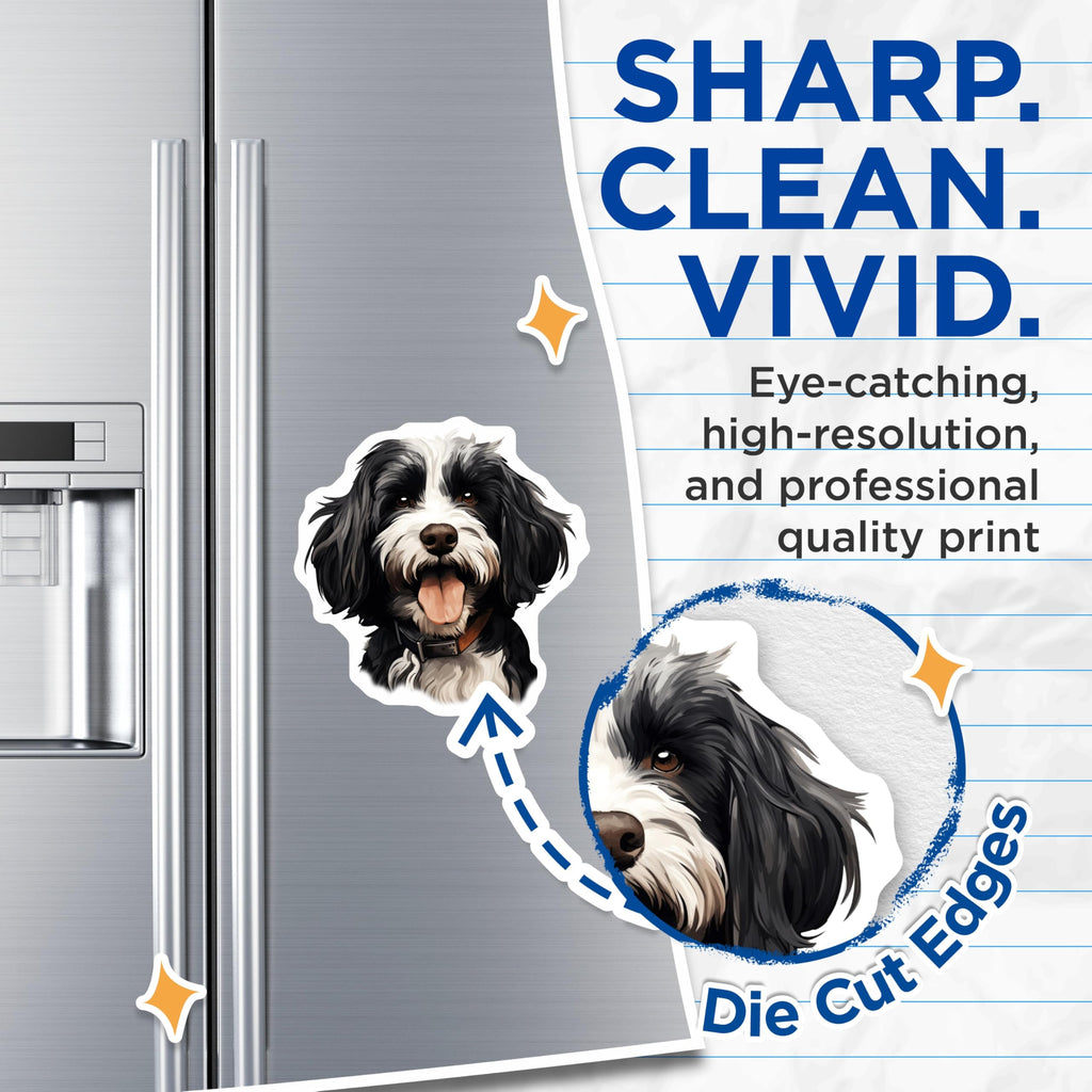 (2 Pack) Havanese Dog Magnets - Cute Puppy Illustration - Pet Owner Refrigerator Decor Dog Mom Dad - 5 Inches On Longest Side - Thick Durable Magnet - Made in USA - MAG27455