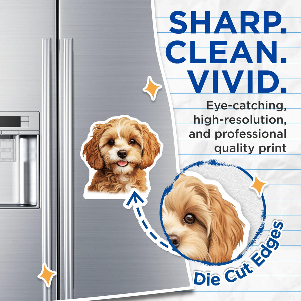 (2 Pack) Adorable Cavapoo Puppy Magnets - Goldendoodle Dog Lover Decor - Cute Happy Pet Animal Fridge Locker Art - 5 Inches On Longest Side - Thick Durable Magnet - Made in USA - MAG23582