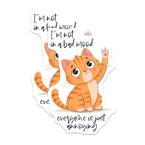 (2 Pack) Funny Cat Mood Magnets - Humorous Feline Quote Magnets - Cute Cat Artwork Magnets for Refrigerator - 5" On Longest Side - for Cars, Refrigerators, Toolboxes, Lockers - Made in USA BMCS3321