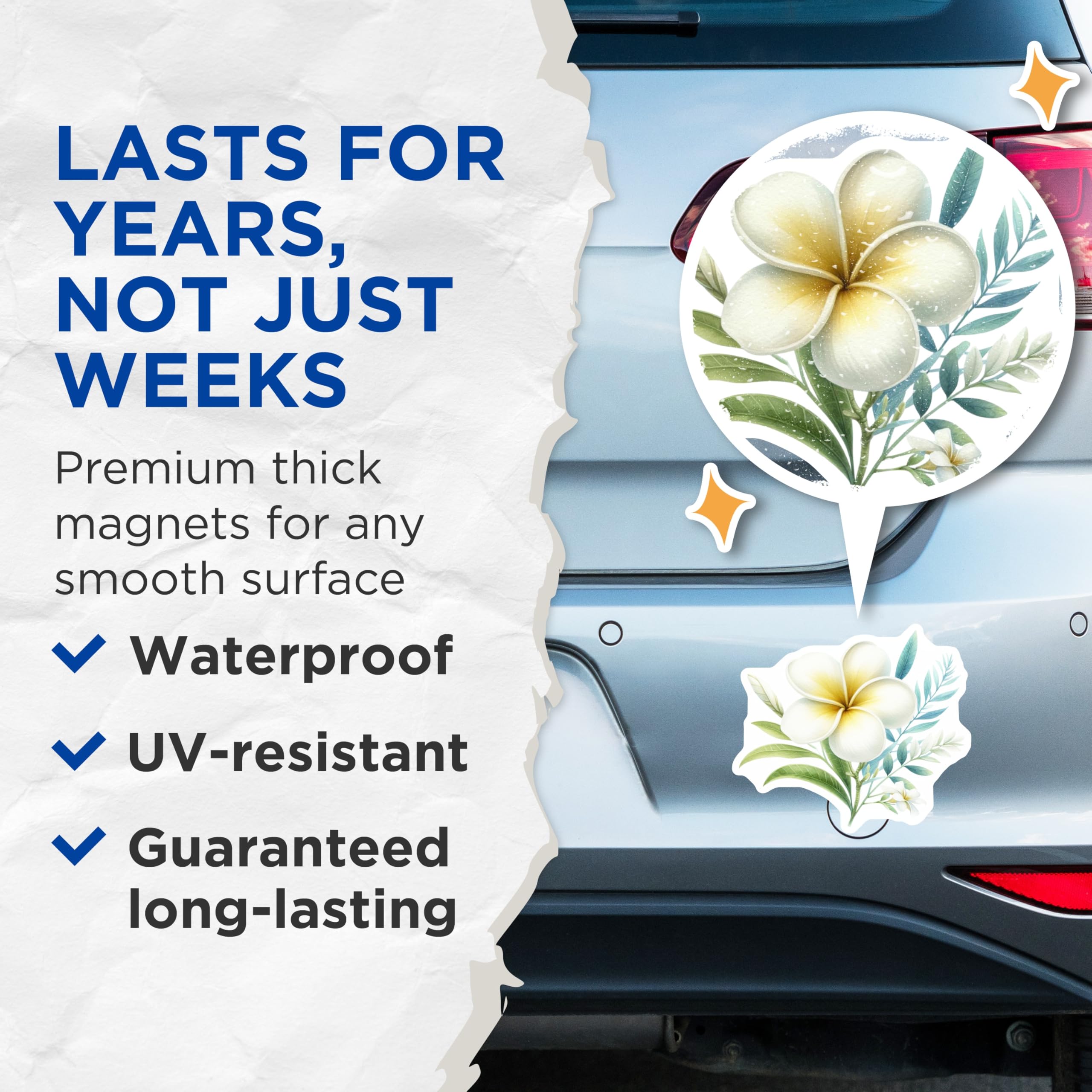 (2 Pack) Plumeria Magnets - Tropical Flower Art - Hawaiian Bloom Decor - Refrigerator Fridge Magnets - 5 Inches On Longest Side - Thick Durable Magnet - Made in USA - MAG20908