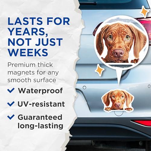 (2 Pack) Adorable Pet Decor Magnet - 5" On Longest Side - Sticks to Smooth Flat Surfaces - Made in USA - MAG10330