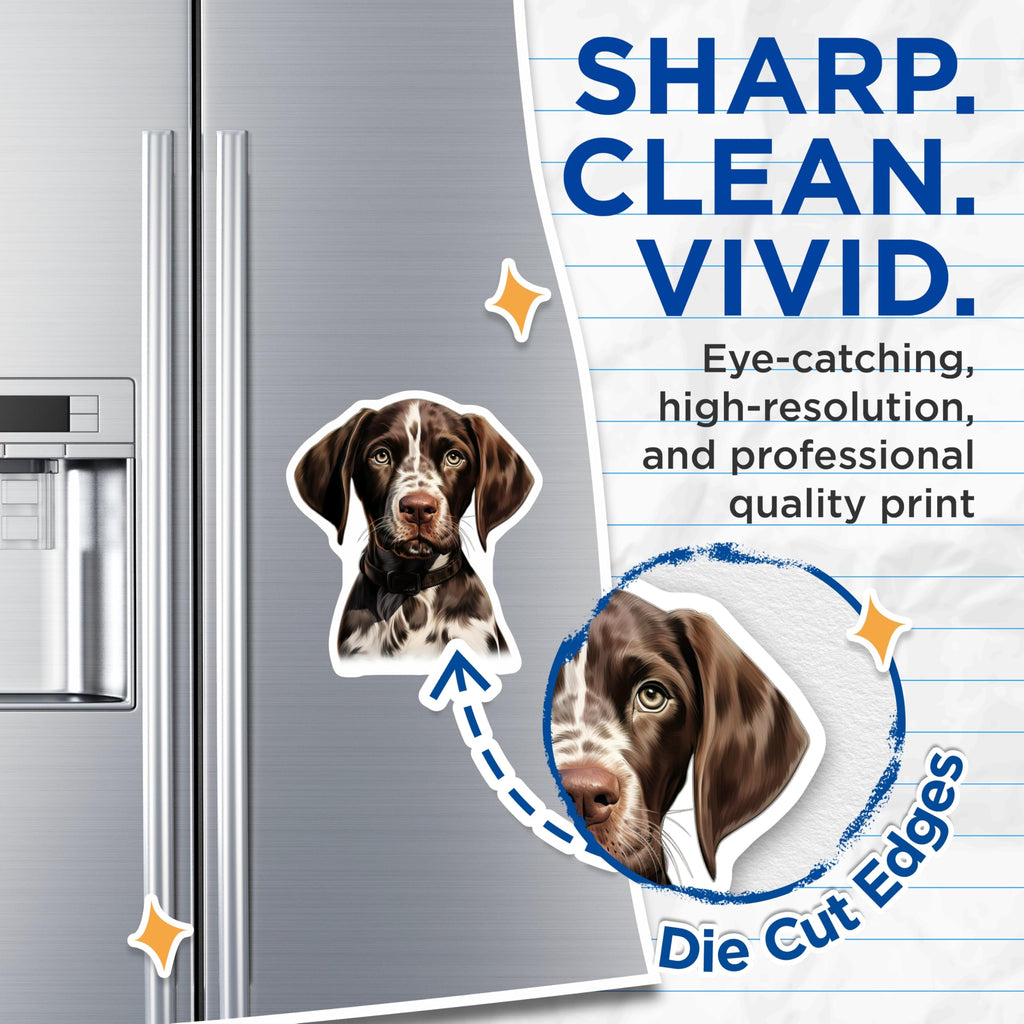 (2 Pack) German Shorthaired Pointer Magnets - GSP Dog Lover - Cute Puppy Decor for Fridge - 5 Inches On Longest Side - Thick Durable Magnet - Made in USA - MAG27477