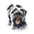 (2 Pack) Shih Tzu Dog Magnets - Cute Pet Portrait - Animal Lover Fridge Decor - 5 Inches On Longest Side - Thick Durable Magnet - Made in USA - MAG39597