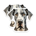 (2 Pack) Harlequin Great Dane Magnets - Dog Lover Decor - Pet Breed Appreciation - 5 Inches On Longest Side - Thick Durable Magnet - Made in USA - MAG27009