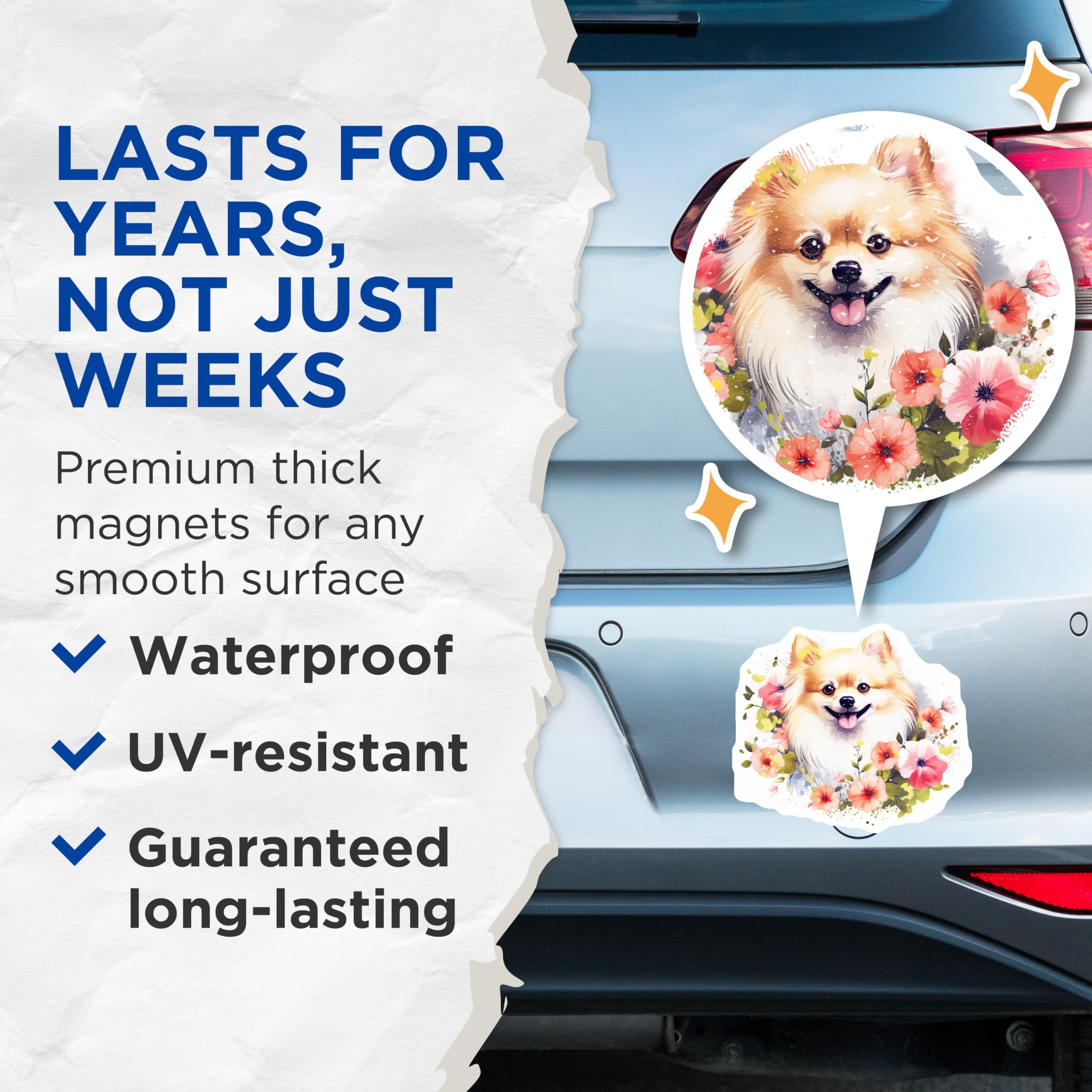 (2 Pack) Pomeranian Magnets - Happy Fluffy Dog Decor - Floral Puppy Art Refrigerator Magnet - 5 Inches On Longest Side - Thick Durable Magnet - Made in USA - MAG24474