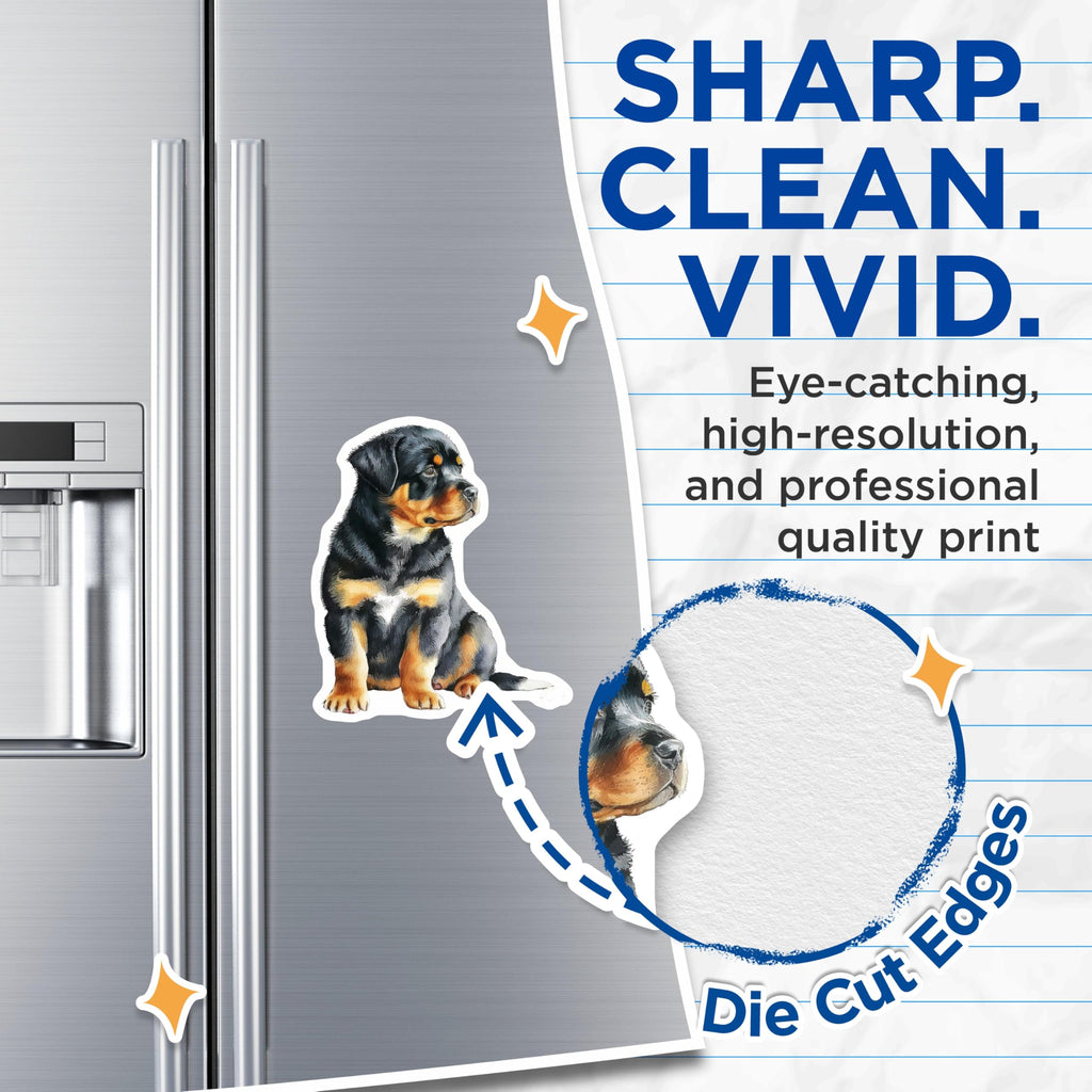 (2 Pack) Rottweiler Puppy Magnets - Cute Dog Lovers - Fridge Locker Decoration - 5" On Longest Side - Premium Magnet - for Cars, Refrigerators, Toolboxes, Lockers - Made in USA - MAG14215