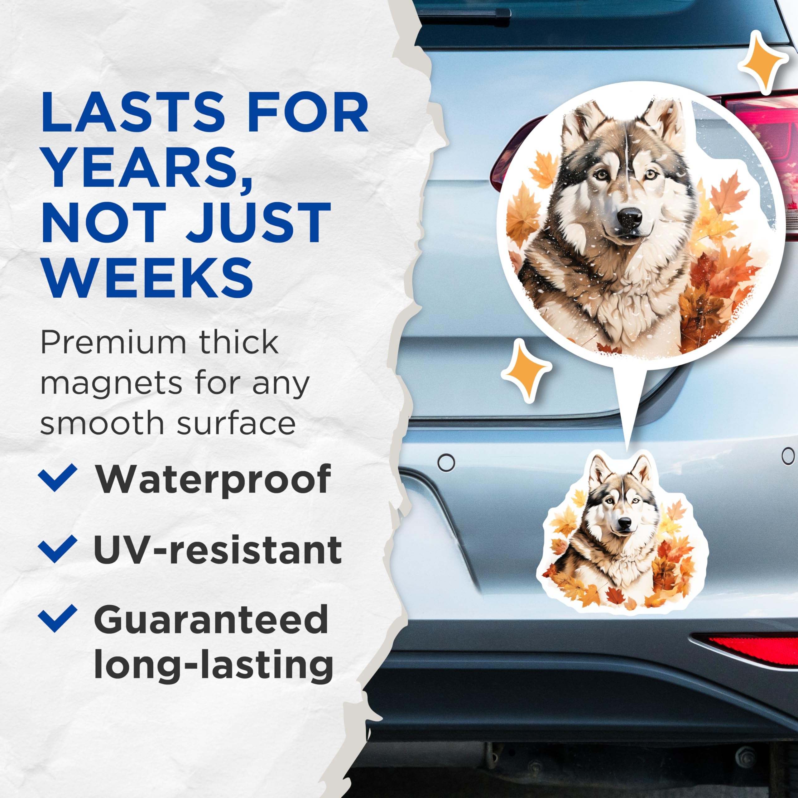 (2 Pack) Husky Dog Magnets - Autumn Fall Leaves Decor - Woodland Animal Art for Refrigerator - 5 Inches On Longest Side - Thick Durable Magnet - Made in USA - MAG26023
